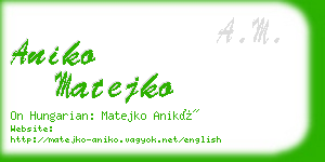 aniko matejko business card